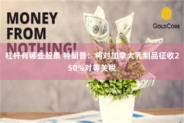 杠杆有哪些股票 特朗普：将对加拿大乳制品征收250%对等关税