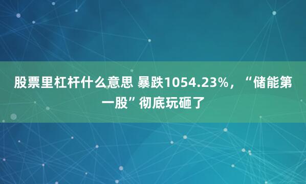 股票里杠杆什么意思 暴跌1054.23%，“储能第一股”彻底玩砸了