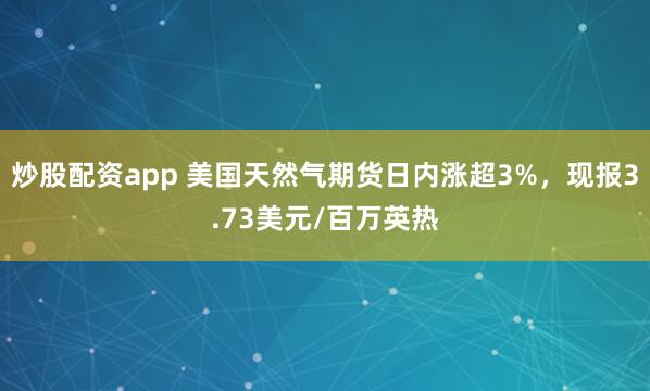 炒股配资app 美国天然气期货日内涨超3%，现报3.73美元/百万英热