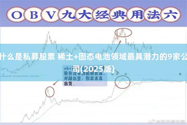什么是私募股票 稀土+固态电池领域最具潜力的9家公司(2025版)