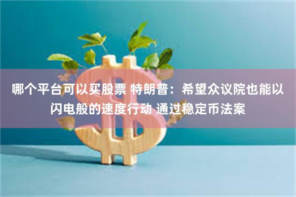 哪个平台可以买股票 特朗普：希望众议院也能以闪电般的速度行动 通过稳定币法案