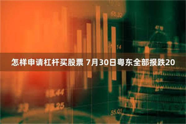 怎样申请杠杆买股票 7月30日粤东全部报跌20