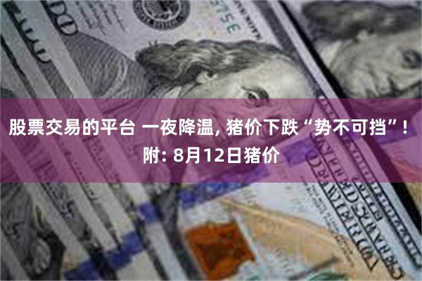 股票交易的平台 一夜降温, 猪价下跌“势不可挡”! 附: 8月12日猪价