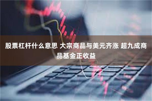 股票杠杆什么意思 大宗商品与美元齐涨 超九成商品基金正收益