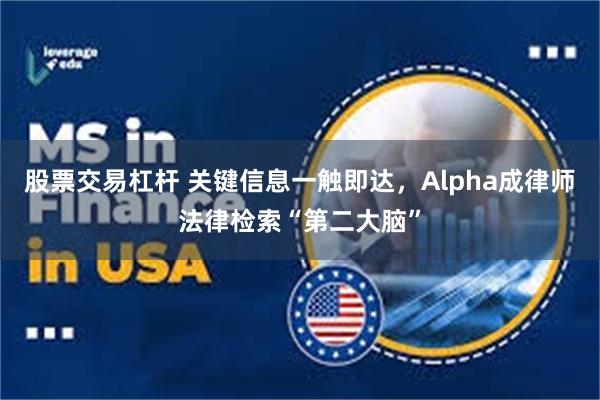 股票交易杠杆 关键信息一触即达，Alpha成律师法律检索“第二大脑”