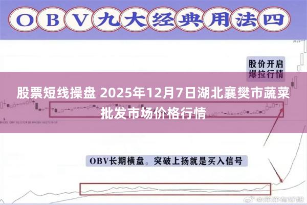 股票短线操盘 2025年12月7日湖北襄樊市蔬菜批发市场价格行情