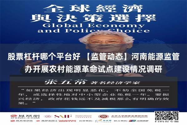 股票杠杆哪个平台好 【监管动态】河南能源监管办开展农村能源革命试点建设情况调研